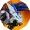 ZOIDS WILD ARENA донат