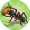 Pocket Ants: Colony Simulator донат