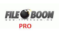 Premium Pro код Fileboom на 365 дней