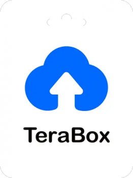 1 Year TeraBox Premium (для всех регионов и стран)