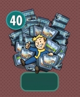 Fallout Shelter : Комплект : 40 ланч-боксов