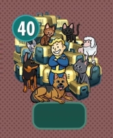 Fallout Shelter : Комплект : 40 переносок