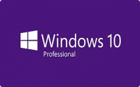 Microsoft Windows Professional 10