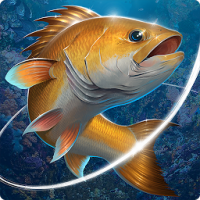 Fishing Hook : Набор  монет Мега-М
