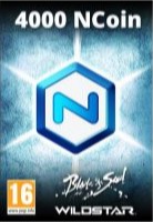 NCsoft NCoin 4000 (для всех регионов и стран)