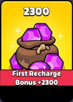 Wittle Defender  :  2 300 Diamond