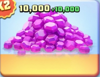 Rise of Monsters :  10 000 amethysts + 10 000 amethysts