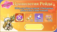 Pixel Overlord: 4096 Draws : Привилегия Рейда