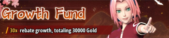 Shadow Shinobi Rise   :  Growth Fund