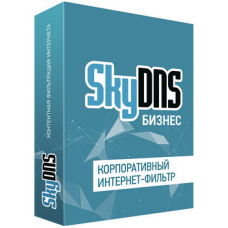 SkyDNS Z Бизнес. Лицензия на 1 комплект