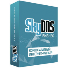 SkyDNS Бизнес. 50 лицензий на 1 год