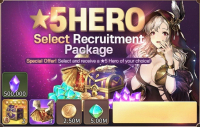 Magic Stone Knights : 5 HERO - Select Pecruitment Package