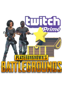  PUBG: In-game skins Twitch#1